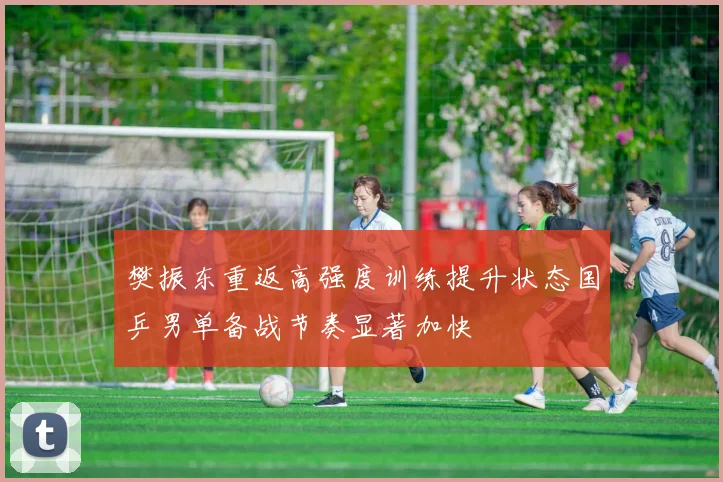 樊振东重返高强度训练提升状态国乒男单备战节奏显著加快